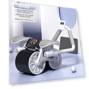 Double Wheel Abdominal Trainer — Core & Ab Trainers, Sea Global
