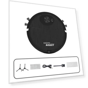 Robot Vacuum Cleaner — Smart Cleaning Robots, Lucky Black Cat