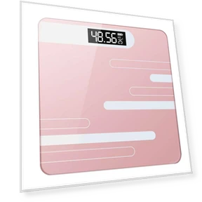 Smart Bathroom Scale — Weight Management Tools, Factory Discount Outlet