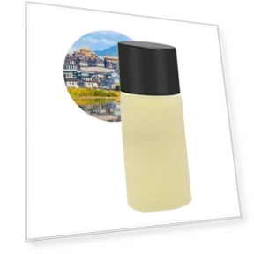 Smart Car Air Freshener — Car Air Fresheners, Cars Auto Home