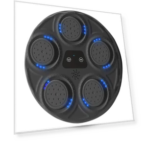 Smart LED Boxing Machine — Boxing Training Gear, ZC1