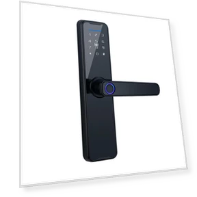 Smart Lock with Fingerprint — Locks, Toys Arts
