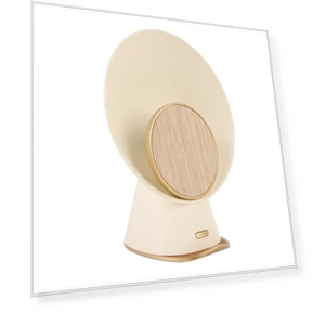 Bluetooth Speaker with Phone Charger — Accessory Kits, DIYelecs