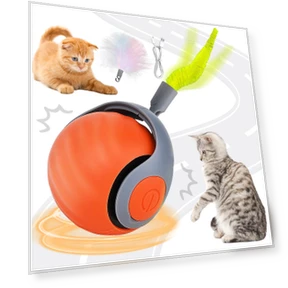 Interactive Cat Ball — Cat Playthings, QIIAII D