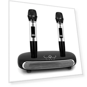 Wireless Karaoke Set — Karaoke Players, Honor Electronics