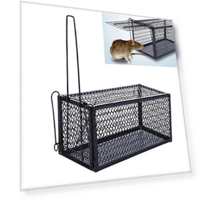 Smart Self-locking Mousetrap — Traps, Home Furnishing Department Mall