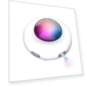 Automatic Cat Toy — Cat Playthings, Refreshing Home
