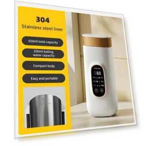 Electric Kettle with Temperature Control — Kettles & Tea Machines, Xiaomi