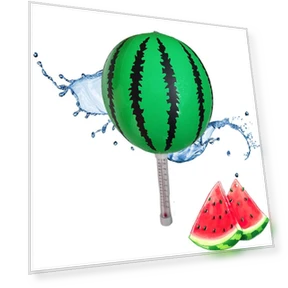 Floating Pool Thermometer — Thermometers, Weixeny