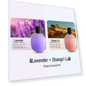 Smart Aroma Diffuser and Humidifier with Timer — Diffusers, The Best Experience