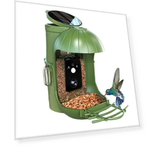 Smart Bird Feeder with Camera — Backyard Birding, Love Pet House
