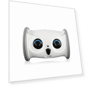 Automatic Smart Pet Toy Interactive Owl Robot — Cameras & Monitors, Yiran Furniture