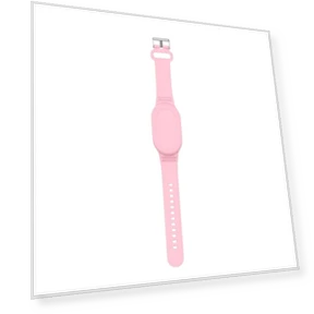 Silicone Wrist Strap — Wearable Accessories, Lanspo