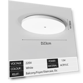 Ceiling Motion Sensor Light — Close To Ceiling, Elegant Living House