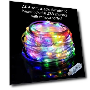 Christmas Lights with Shape Display Function — Lighted Displays, Automobiles11