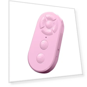 Rechargeable Bluetooth Remote Control — Remote Controls, Luminaire Lighting Mall