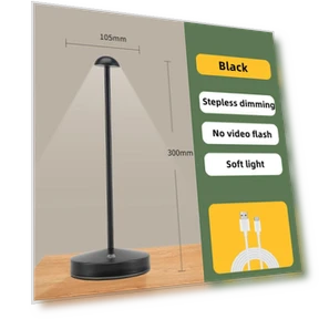 Rechargeable Table Lamp — Standing Lights, Elegant Living House