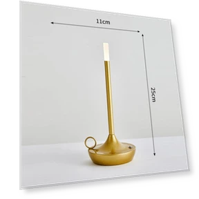 Rechargeable Wireless Touch Control Desk Lamp — Study & Desk Lighting, TOP HOME