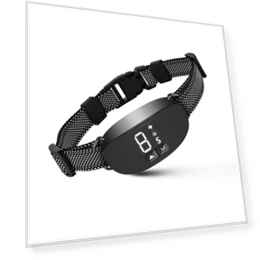 Smart Anti-Bark Dog Collar — Anti-Bark Training Devices, Super Dream Home