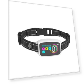 Ultrasonic Bark Collar — Anti-Bark Training Devices, Homedepot