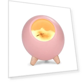 Creative LED Night Light with Cute Cat — Night Lights, Wrigleys