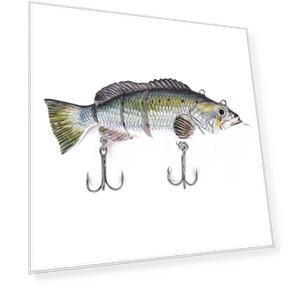 Electronic Robotic Fish — Traps, Luminaire Lighting Mall