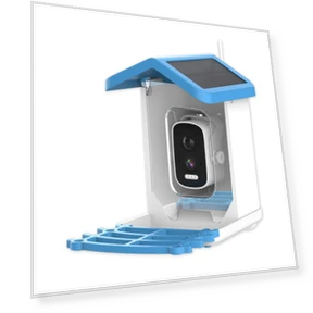 Smart Bird Feeder with Camera — Backyard Birding, Pet Supermarket