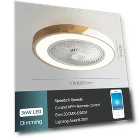 Smart Ceiling Fans With Light — Ceiling Fan Lighting Solutions, Good Household Items