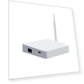 Smart Gateway Bridge — Smart Home Hubs & Controllers, Seahorse Home