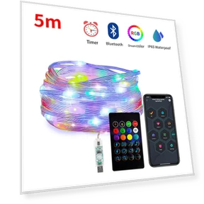 Smart LED Fairy Lights — String Lights, Build My Home