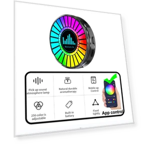Smart RGB Led Lights — Car Essentials, Auto Home Solutions