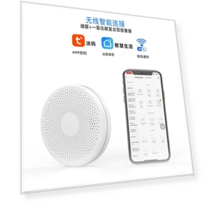 WiFi Smoke and Carbon Monoxide Detector — Carbon Monoxide Detectors, Build My Home