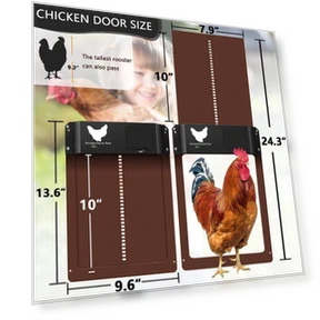 Automatic Chicken Coop Door Opener — Doors, Rainbow Rain