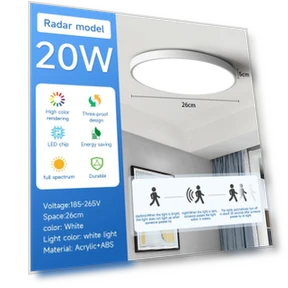LED Ceiling Light with Motion Sensor — Overhead Lighting, Rainbow Rain