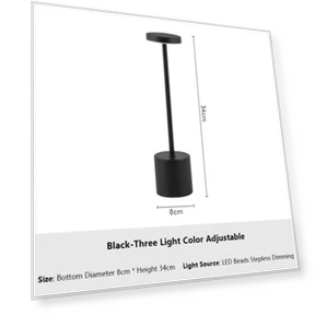 Rechargeable Touch Metal Desk Lamp — Desk & Table Lighting, Build My Home
