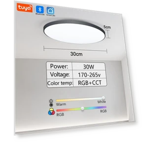 Smart Bluetooth LED Round Ceiling Light — Overhead Lighting, Rainbow Rain