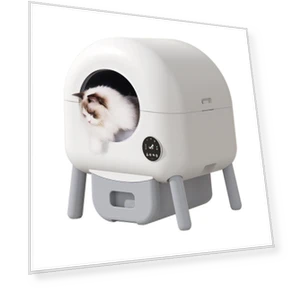 Smart Cat Litter Box — Scoops, Rainbow Rain