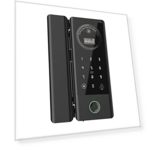 Smart Glass Door Lock — Smart Home Security, Neoglint