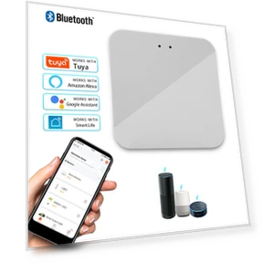 Smart Multi Mode Gateway Hub Bridge — Smart Home Hubs & Controllers, Build My Home