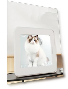 Smart Pet Dryer — Vents, Rainbow Rain