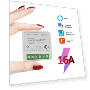 Smart Switch 2 Way Control — Smart Home Modules, Tuya