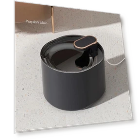 Smart Water Fountain for Pets — Fountains, Explorer Outdoors