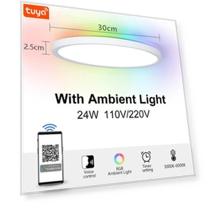 Ultra Thin Smart LED Ceiling Light — LED, Rainbow Rain