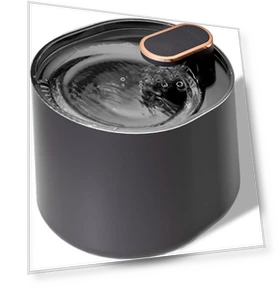 Automatic Pet Water Dispenser — Fountains, Homedepot