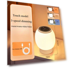 Bedside Table Lamp with Touch Sensor — Desk & Table Lighting, TC Home lighting
