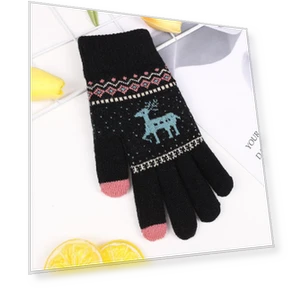 Double-Layered Thickened Velvet Winter Warm Gloves with Touchscreen — Gloves, Outdoor Boutique TOP