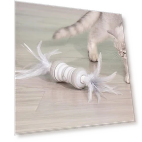 Electric Cat Funny Wand Toy — Cat Playthings, Pet family bucket