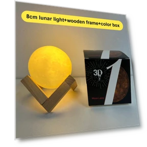 Rechargeable Moon Lamp with 3D Print — Creative Lighting Solutions, Homedepot