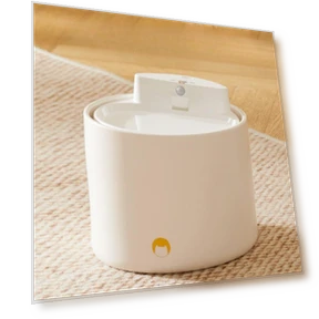 Smart Ceramic Water Dispenser for Pets — Fountains, Pet family bucket