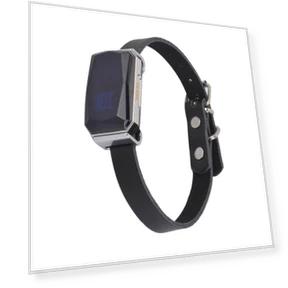 Smart GPS Pet Tracker Collar — Trackers, ZOVAYILA
